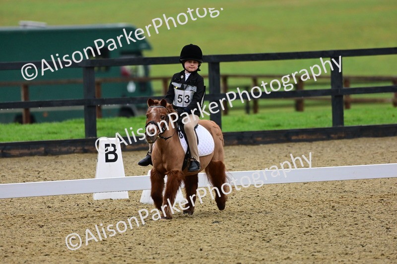 20260125-0567 - Class 9b - Walk Trot Unassisted