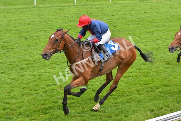 yr12062021r1-19 - Race 1 2.00pm Queen Mother's Cup