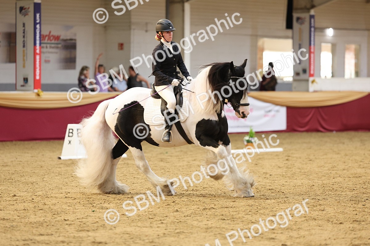SBM_09336 - Class 51 - Dressage to music