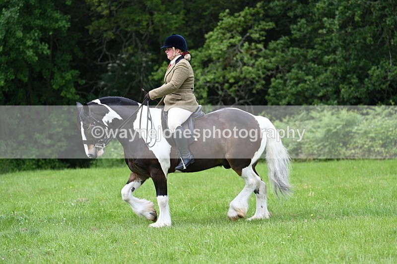 WJ7_2341 - Class 12A Coloured Class