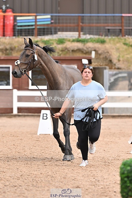 250716-142432-01063 - Trot Up 1.30 to 2.30