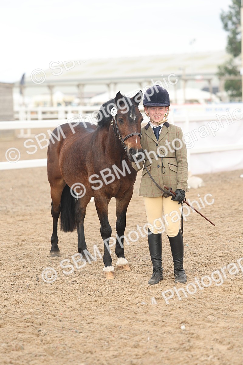 SBM_08557 - Class 29 - IH Veteran Pony