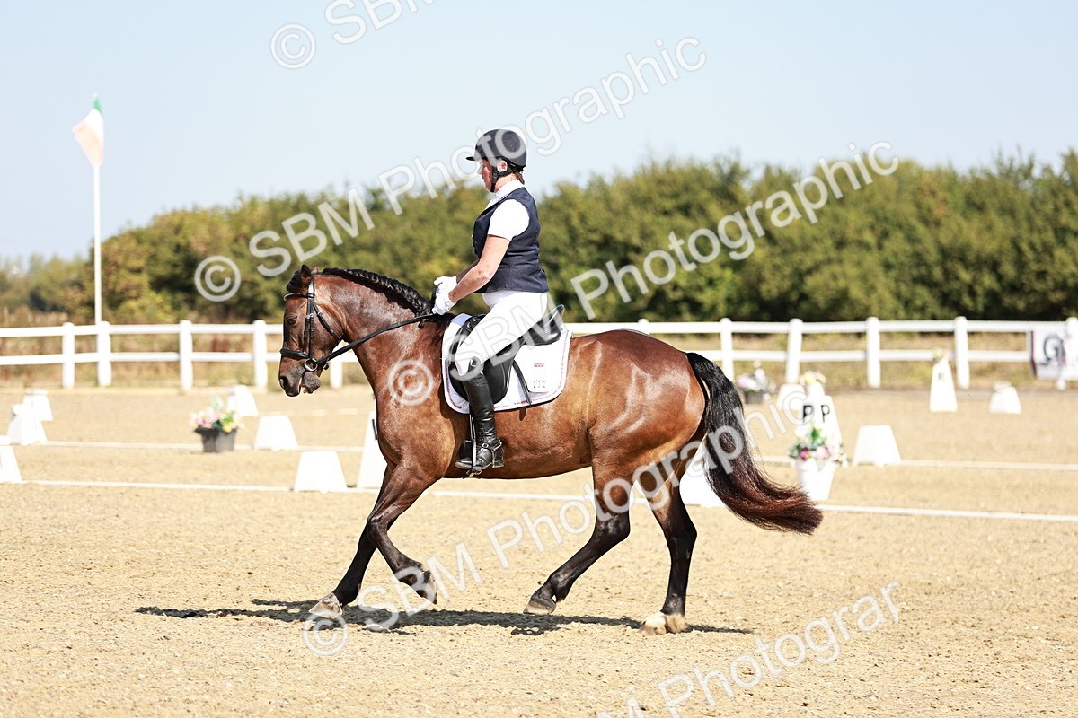SBM_017360