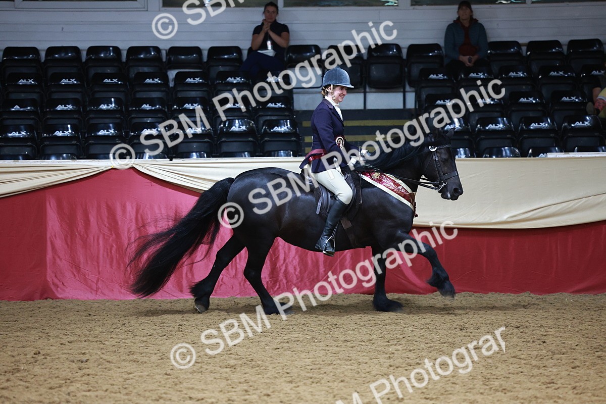 SBM_18910 - Class 952 - M&M Ridden Supreme Final