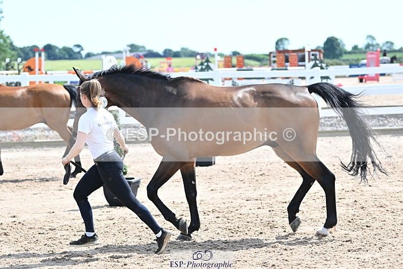 240717A-150035-02431 - Trot Up 3pm to 4pm