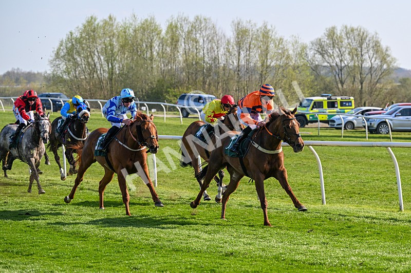 080426-Race 5-Free Pic-0574 - Race 5