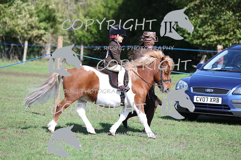 APP_3816 - Class 13 Lead rein