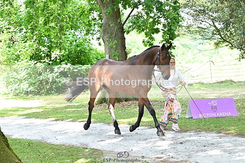250521A-151726-00402 - B-325-Kat.Raybould-MONBEG.SHELBY