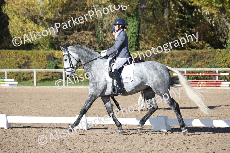 20251102-0791 - Class 5 - Elementary 5