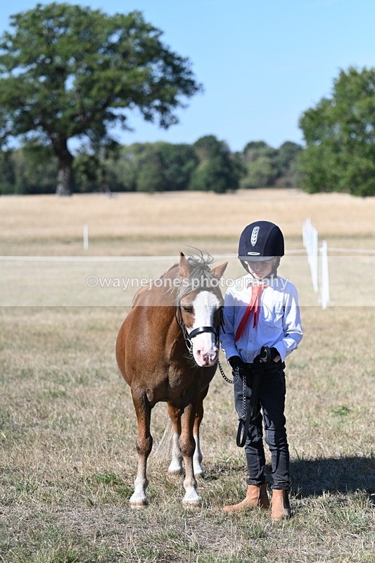 WJ7_2128 - Class 44 Child's Best Friend