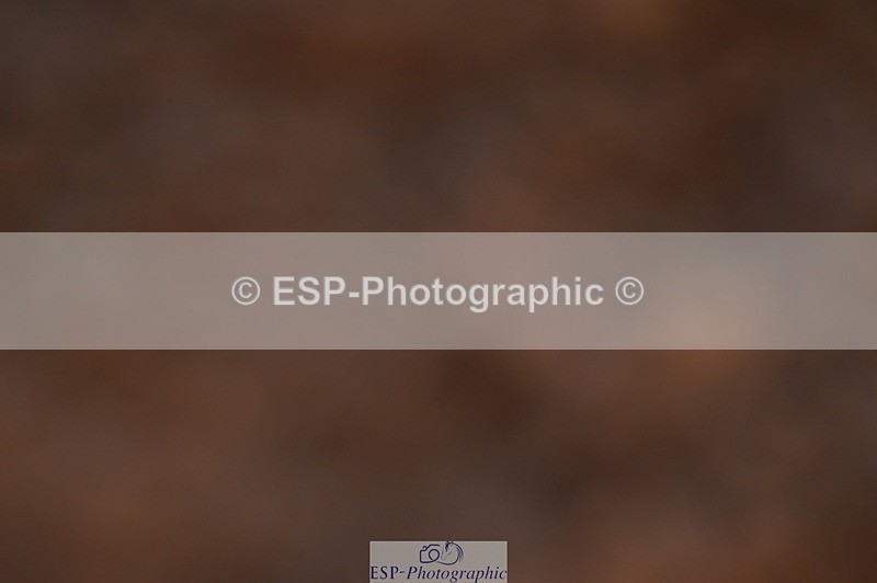 240628A-202956-01308 - Cls 3 1m Open