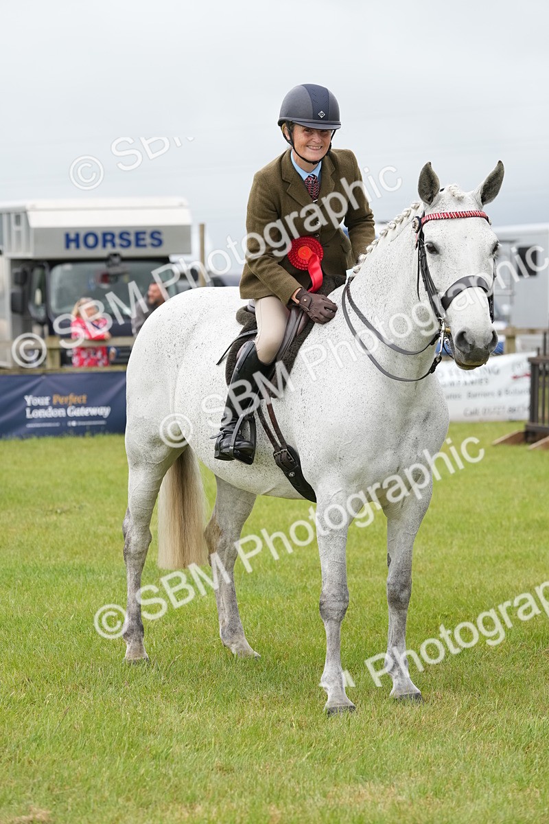 SBM_10646 - Class 97-98 - LIHS BSHA Rising Star Working Show Horse Hunter