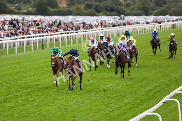 210824-Race 4-City Of Troy-7292 - Race 4 3.35pm Juddmonte International Stakes