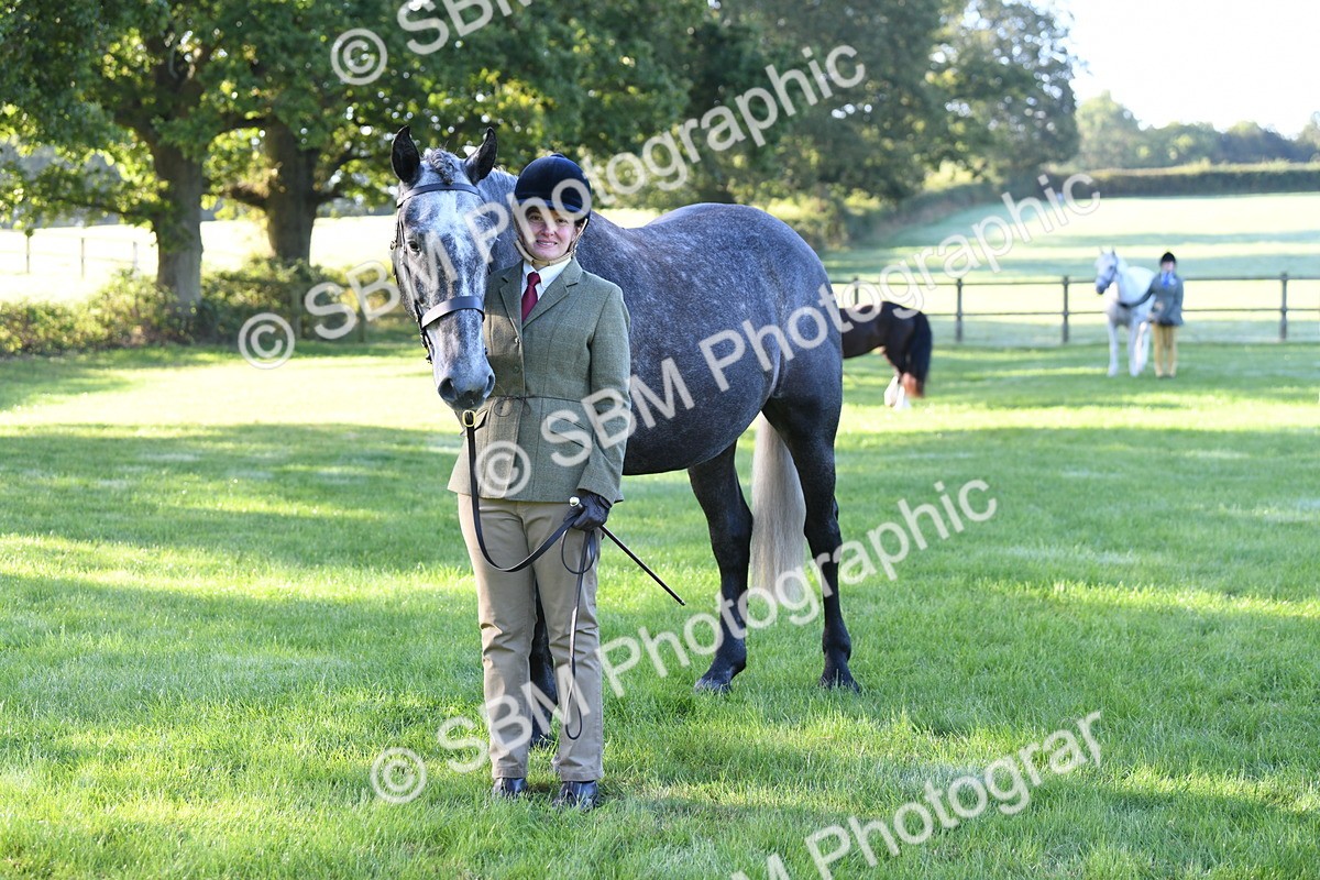 SBM_32809 - S15 - Condition & Turnout In Hand