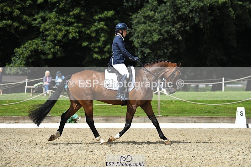 230812-112019-03589 - Cls 6 Novice Silver 10.30 to 11.55 break