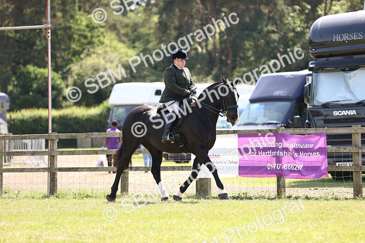 SBM_17814 - Class 81-83 - TSR Ridden Amateur of the Year - Horses
