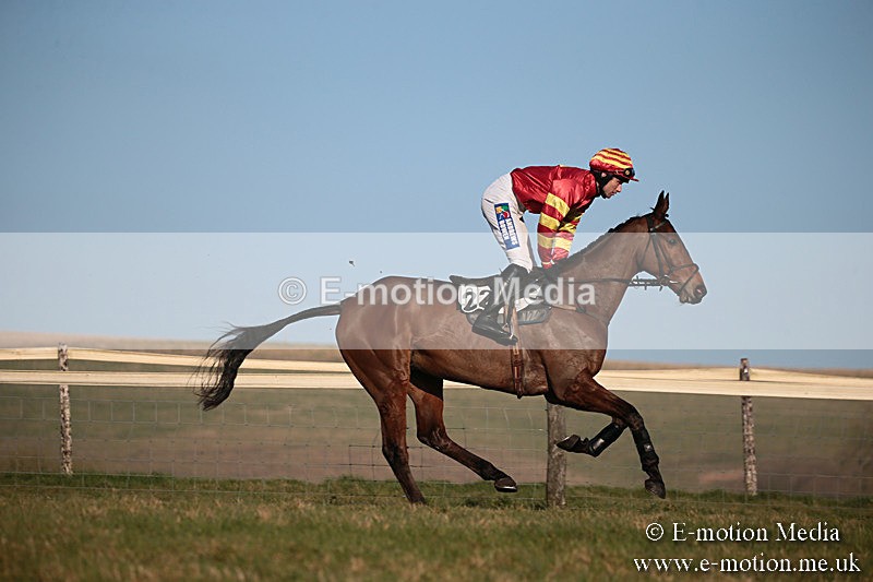 PtP 230219 484 - Vine & Craven Point-To-Point - Barbury 23/02/19
