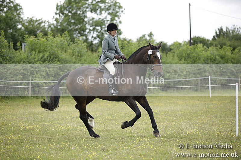 BVR160717-1518 - Ring 1 BVRC Show 16/07/17