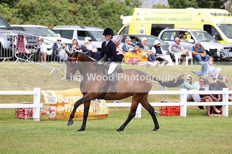 3E7A0968 - Class 8: Open Riding Horse/Hack