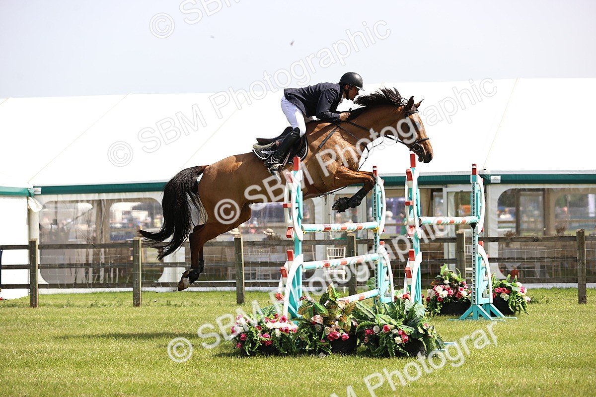 SBM_03206 - Class 201 - British Horse Feedds Speedi Beet HOYS Grade C