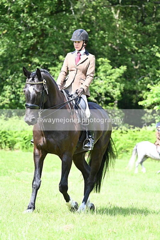 WJ7_1101 - Class 11 Condition & Turnout