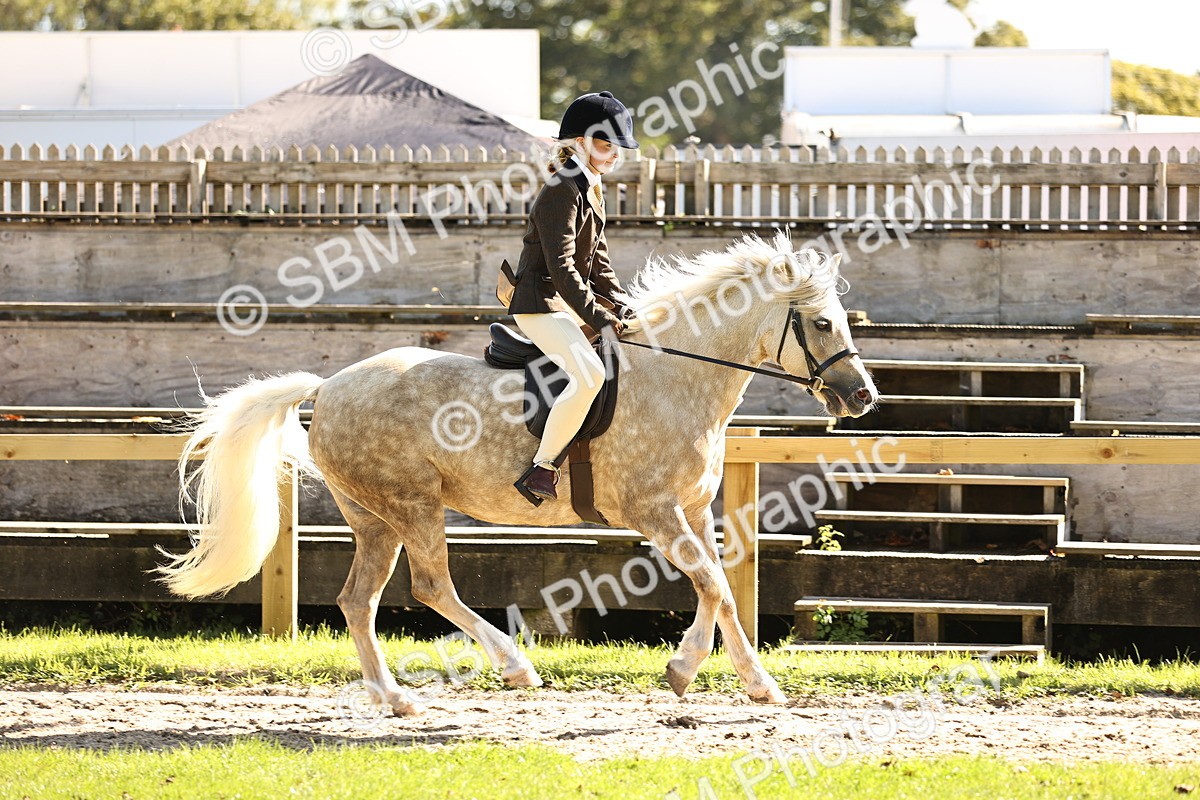 SBM_19137 - S3 - TSR Ridden Pony Showing