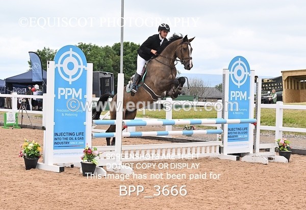 BPP_3666 - CLASS 1 WED Nupafeeds Senior Dicovery/1m open