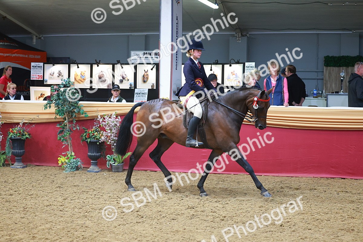 SBM_12731 - Class 103 - HOYS Veteran Qualifier - Ridden Pre Vet