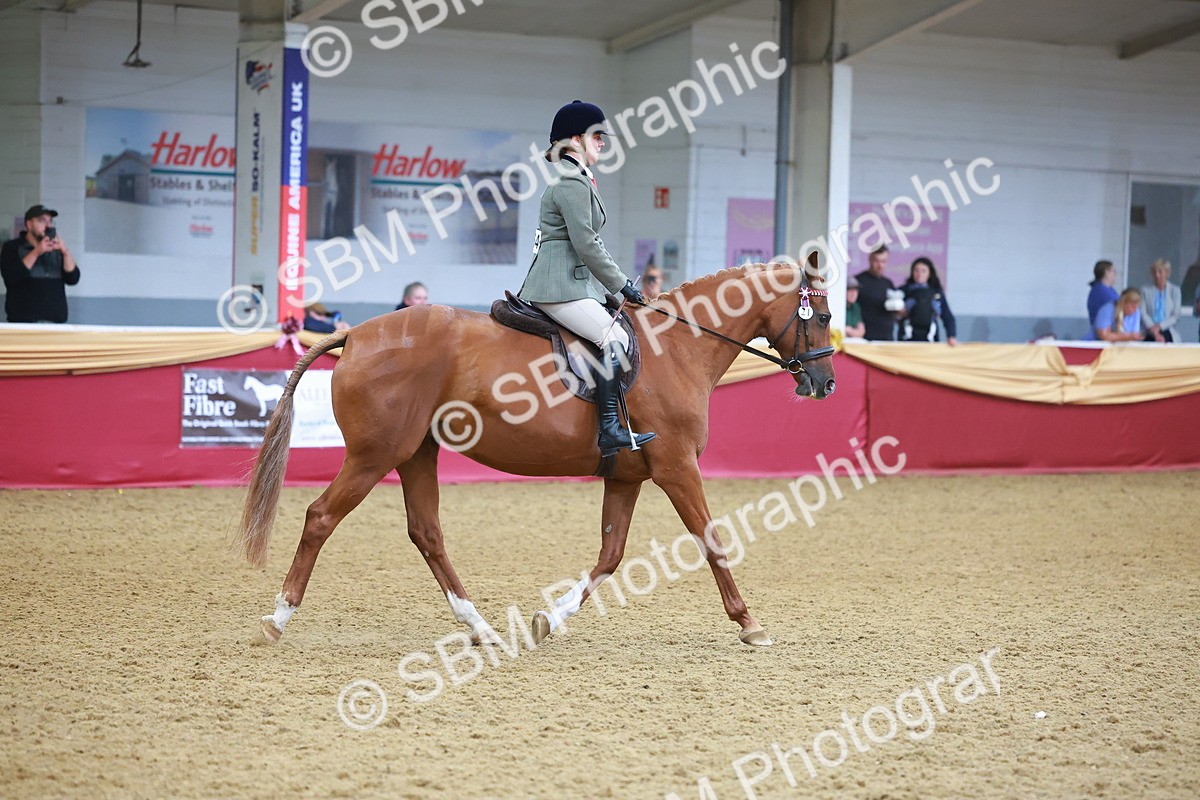SBM_09741 - Class 102 - HOYS Veteran Qualifier - Ridden Veteran
