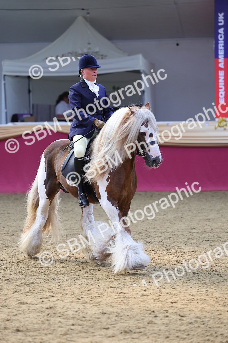 SBM_24611 - Class 906 - Supreme Final - Ridden Pre Vet
