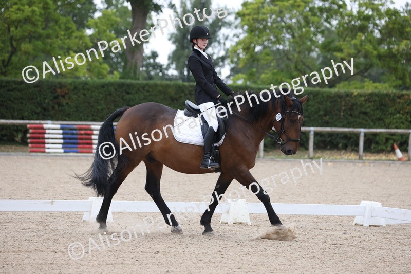 20250820-0353 - Class 11 - My Quest Novice 3