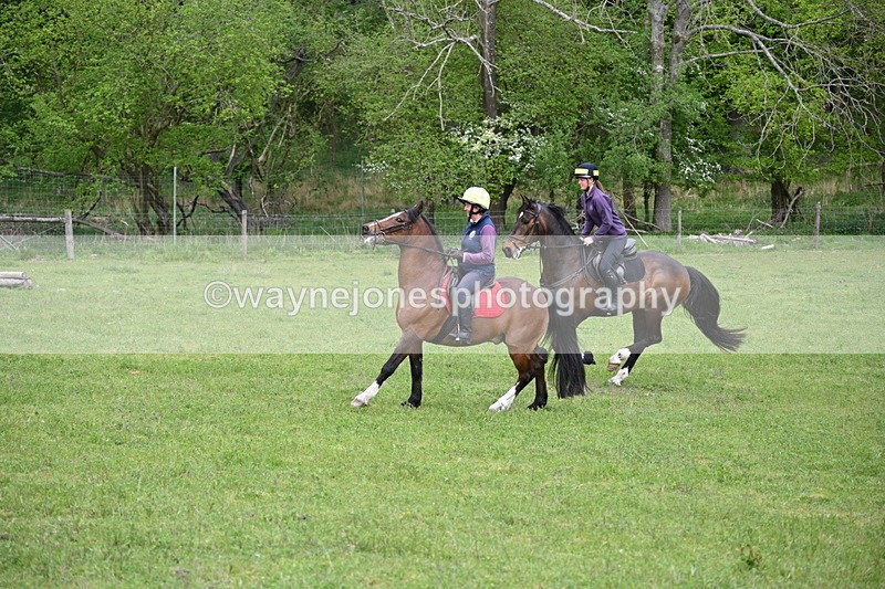 WJ6_3502 - Group 7 A camera ?
