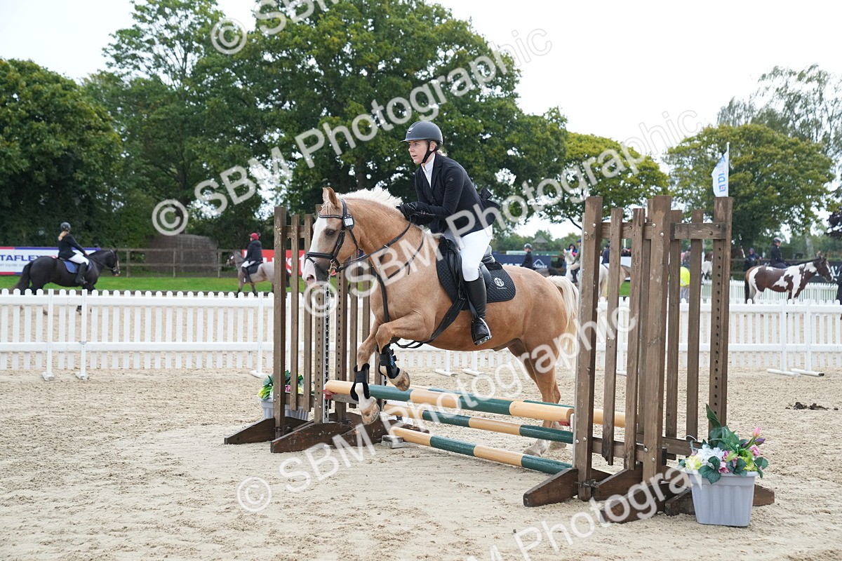 SBM_01411 - J54 - Clear Round 50cm