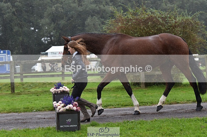 231018-120150-00041 - 040-DODINGTON-Sophie.Wildern-TrotUp