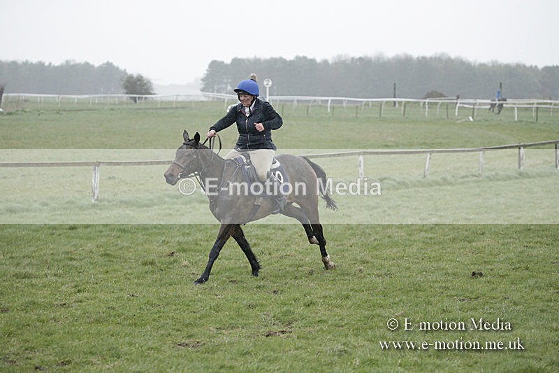 PtP 150320 0066 - New Forest Point-to-Point Larkhill 15/03/20