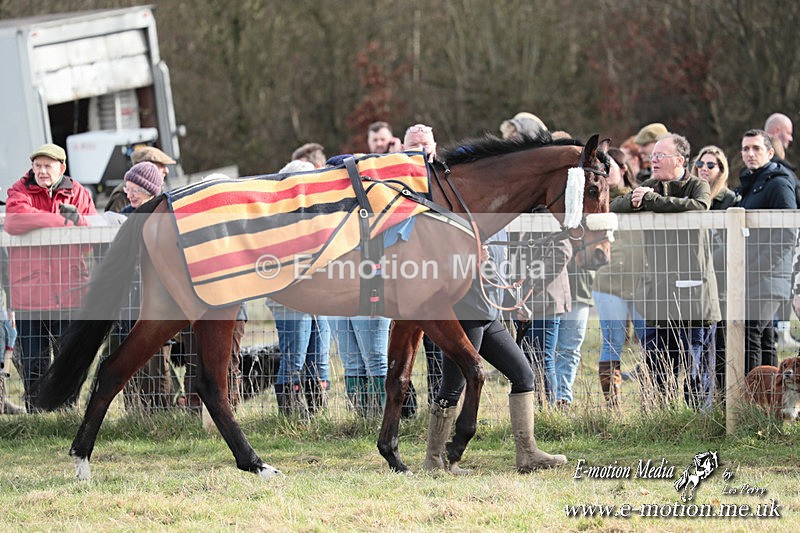 PtP 220225 437 - Kimblewick Point-to-Point  Kingston Blount 22/02/25