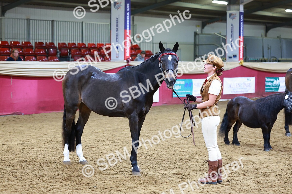 SBM_16222 - Class 901 - Sup Final - IH Diamond
