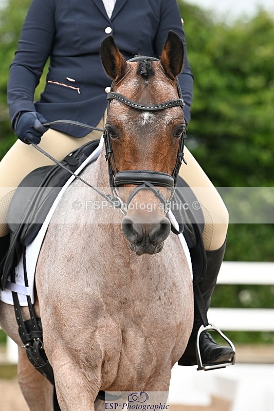 240623A-100457-15922 - Cls 44 BD Prelim 15