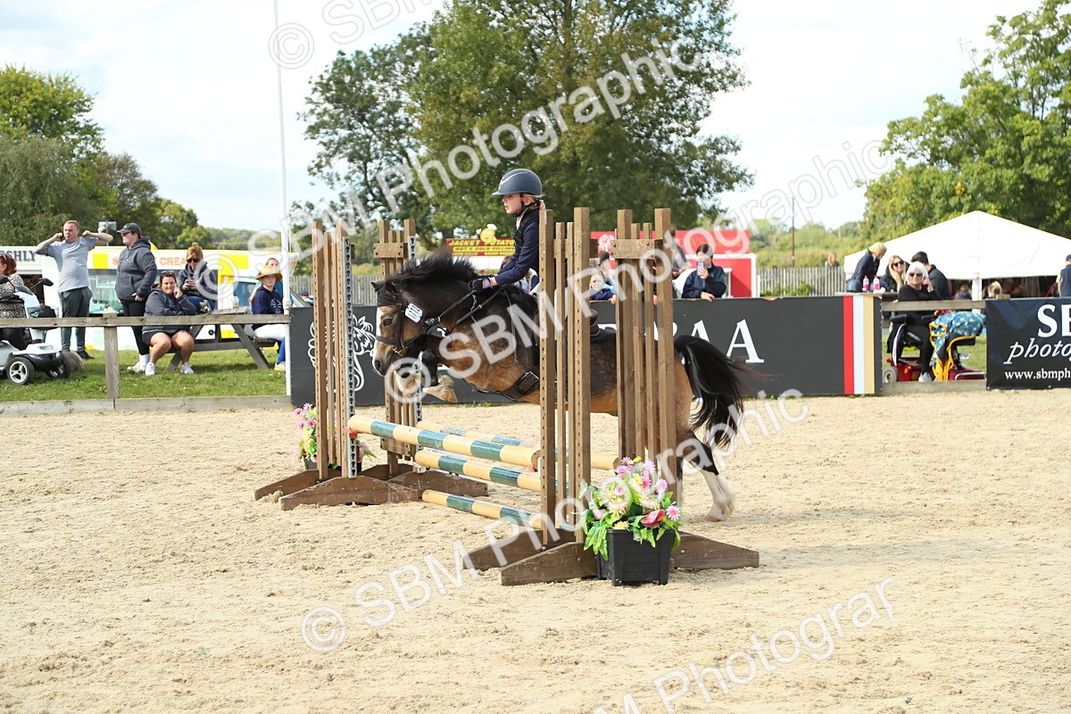 SBM_39491 - J6 - Junior Pony 55cm Championships