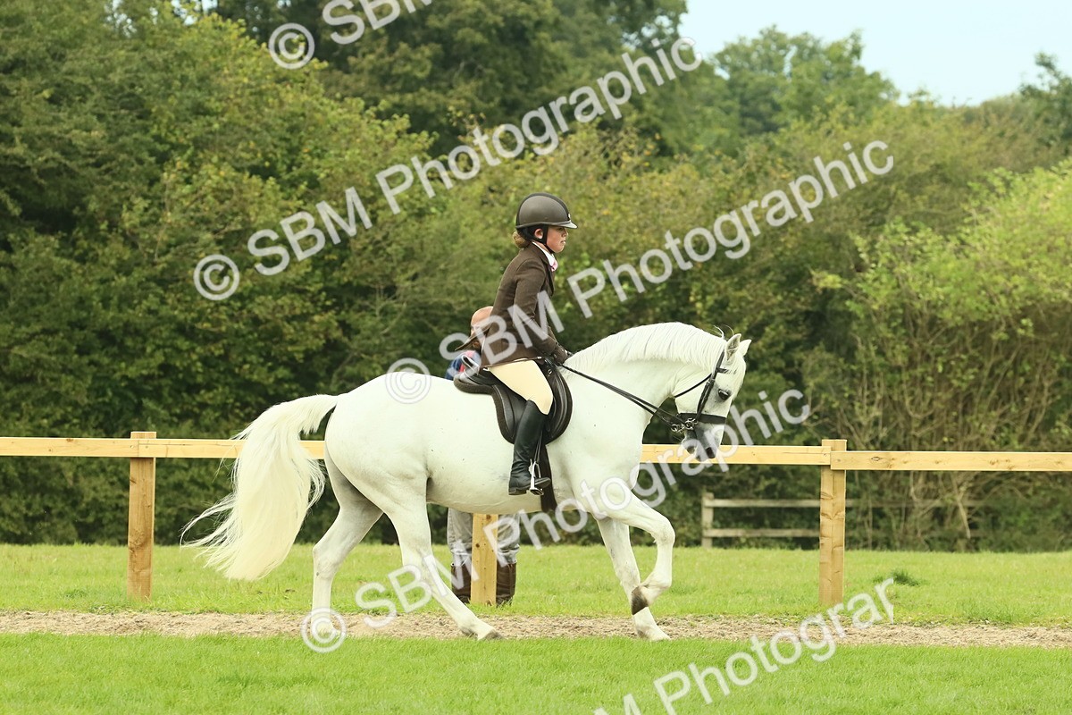 SBM_71903 - S60 - Mountain & Moorland Ridden Large Breeds