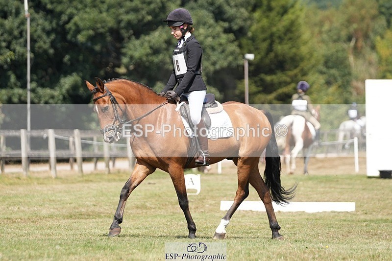 250823A-130550-31119 - Arena A