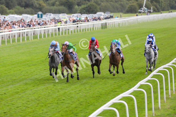 240824-Race 3-Breege-8958 - Race 3 3.00pm Sky Bet City Of York Stakes