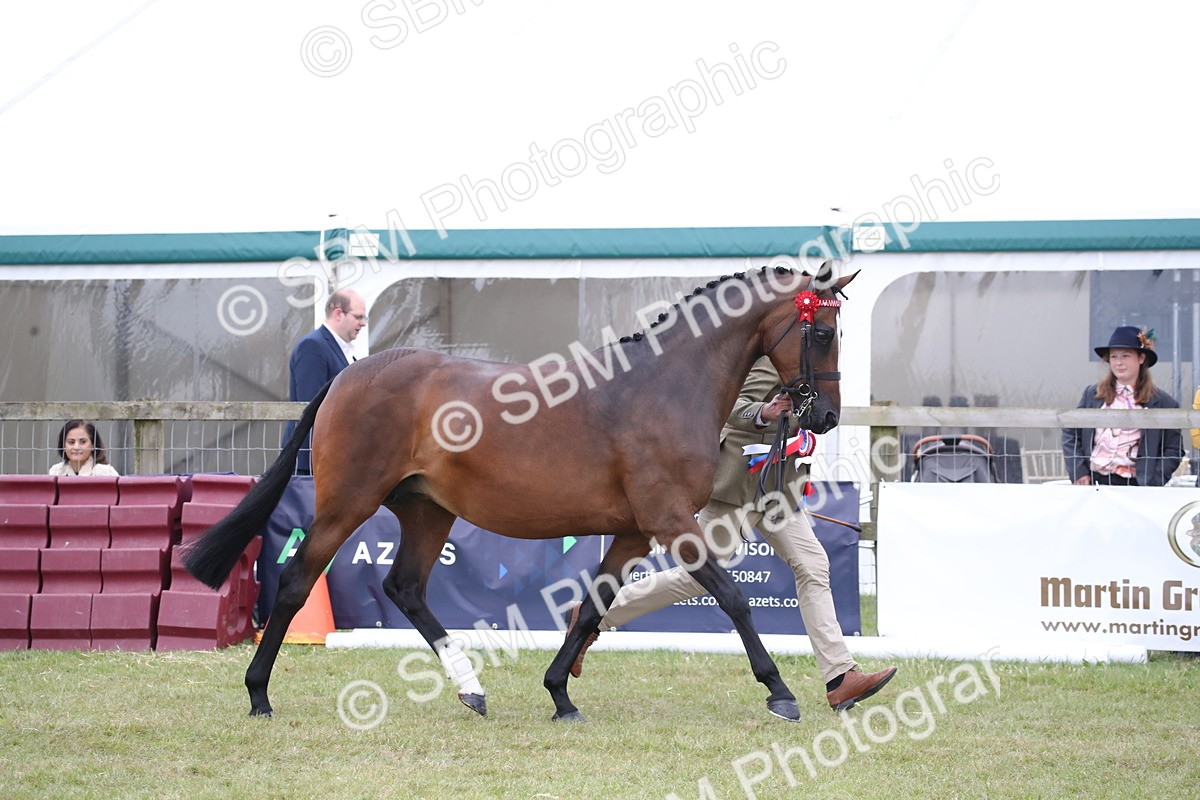 SBM_09782 - Ch 50 - Price Family Supreme In Hand