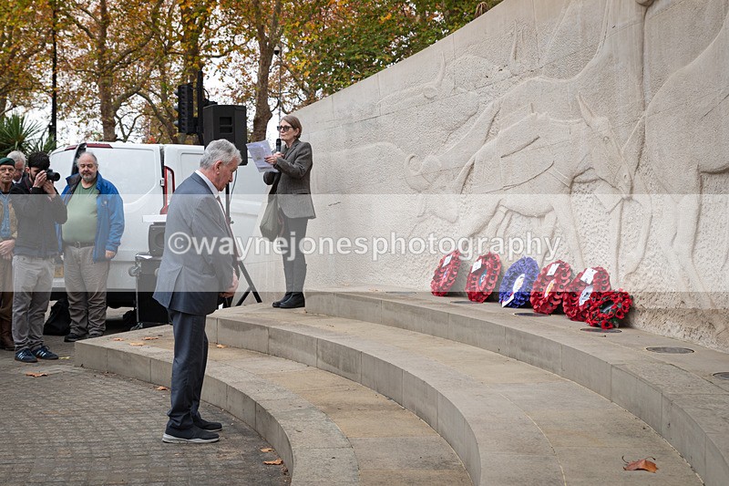 Z62_4605 - Animals In War Memorial 2025 - Park Lane, London