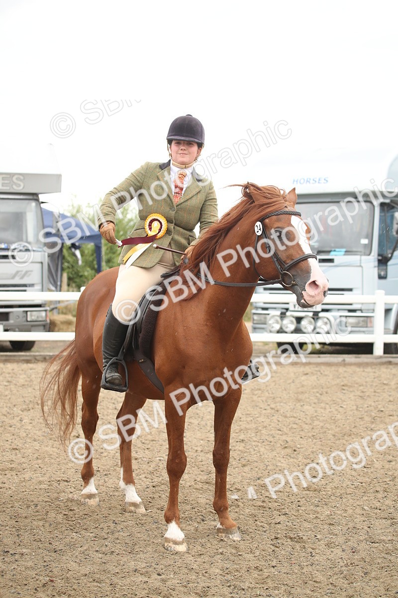 SBM_18418 - Class 509B - Working Veteran - 80cm (20+)