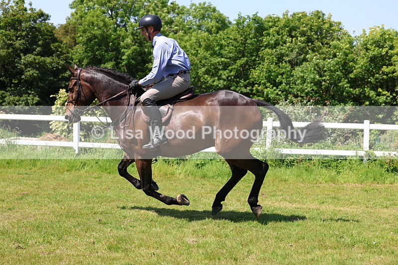 3E7A7322 - Class 30: Novice Working Hunter