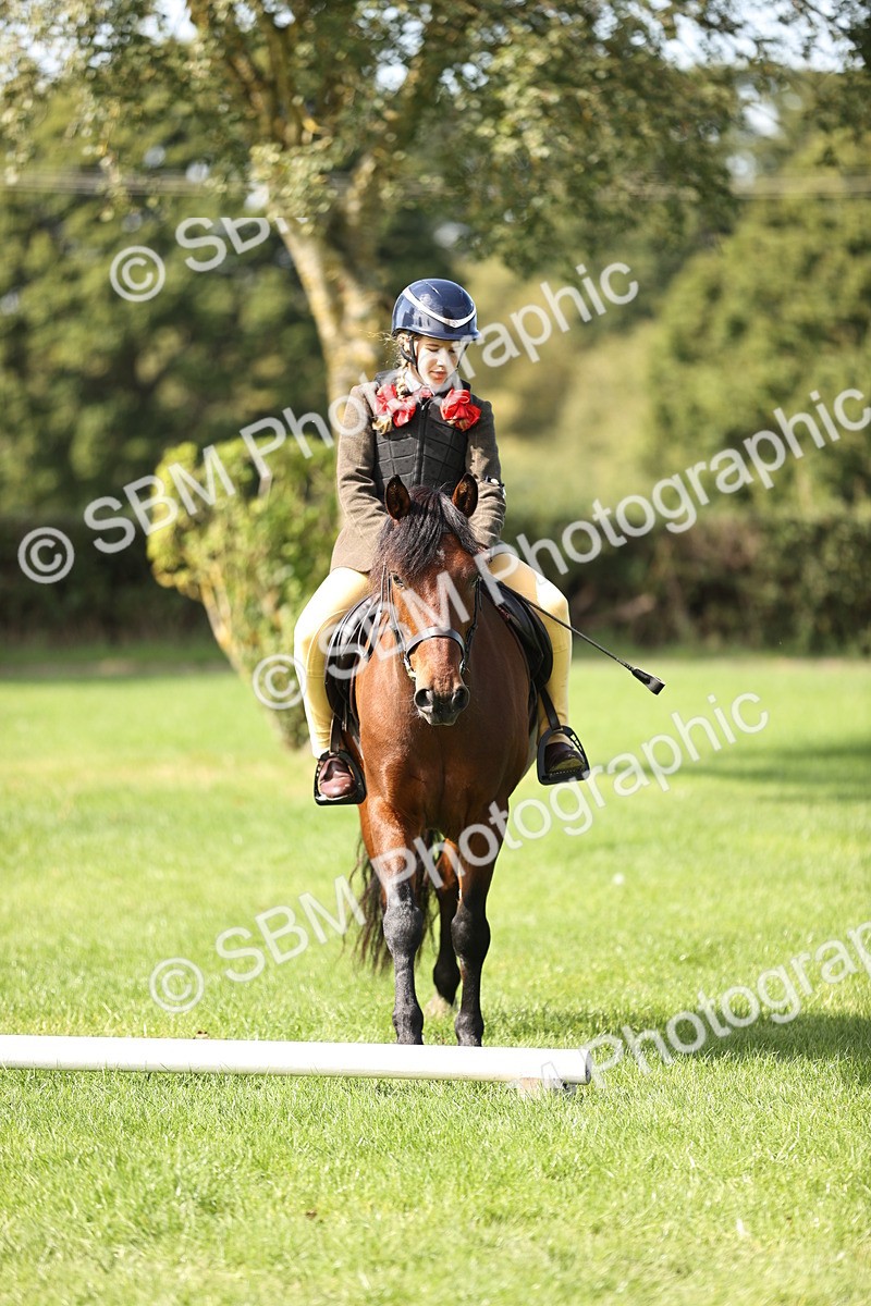 SBM_22952 - S4 - Have a Go at Working Equitation