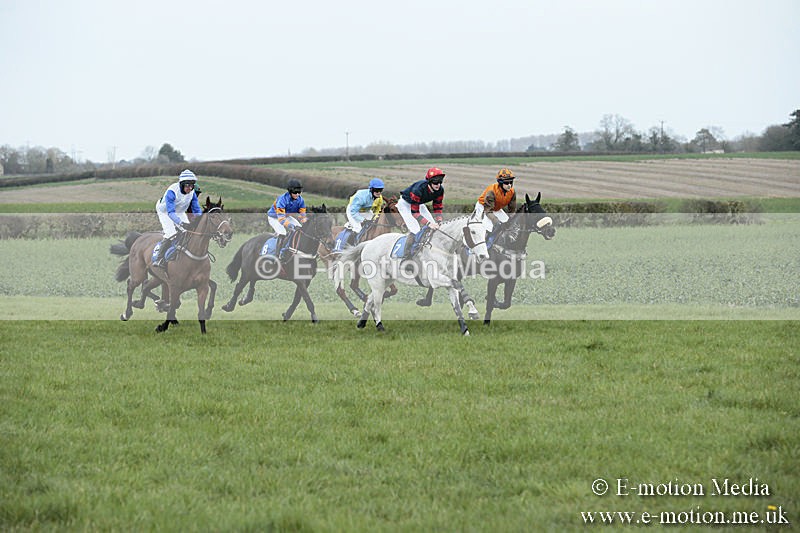PtP 230319 81 - VWH Hunt Siddington Point-to-Point Racing 23/03/19
