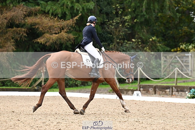 251023A-124348-02314 - B-154-Holly.Law