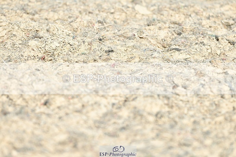 230623-174719-03116 - Cls 10 Advanced Medium 98Q